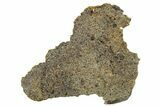 Polished Diogenite Meteorite ( g) Slice - NWA #375652-1